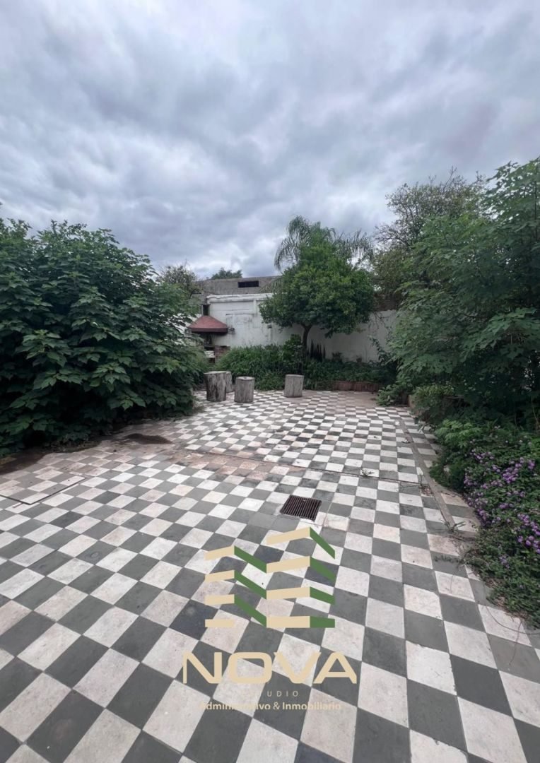 Patio con piso en damero y canteros con plantas