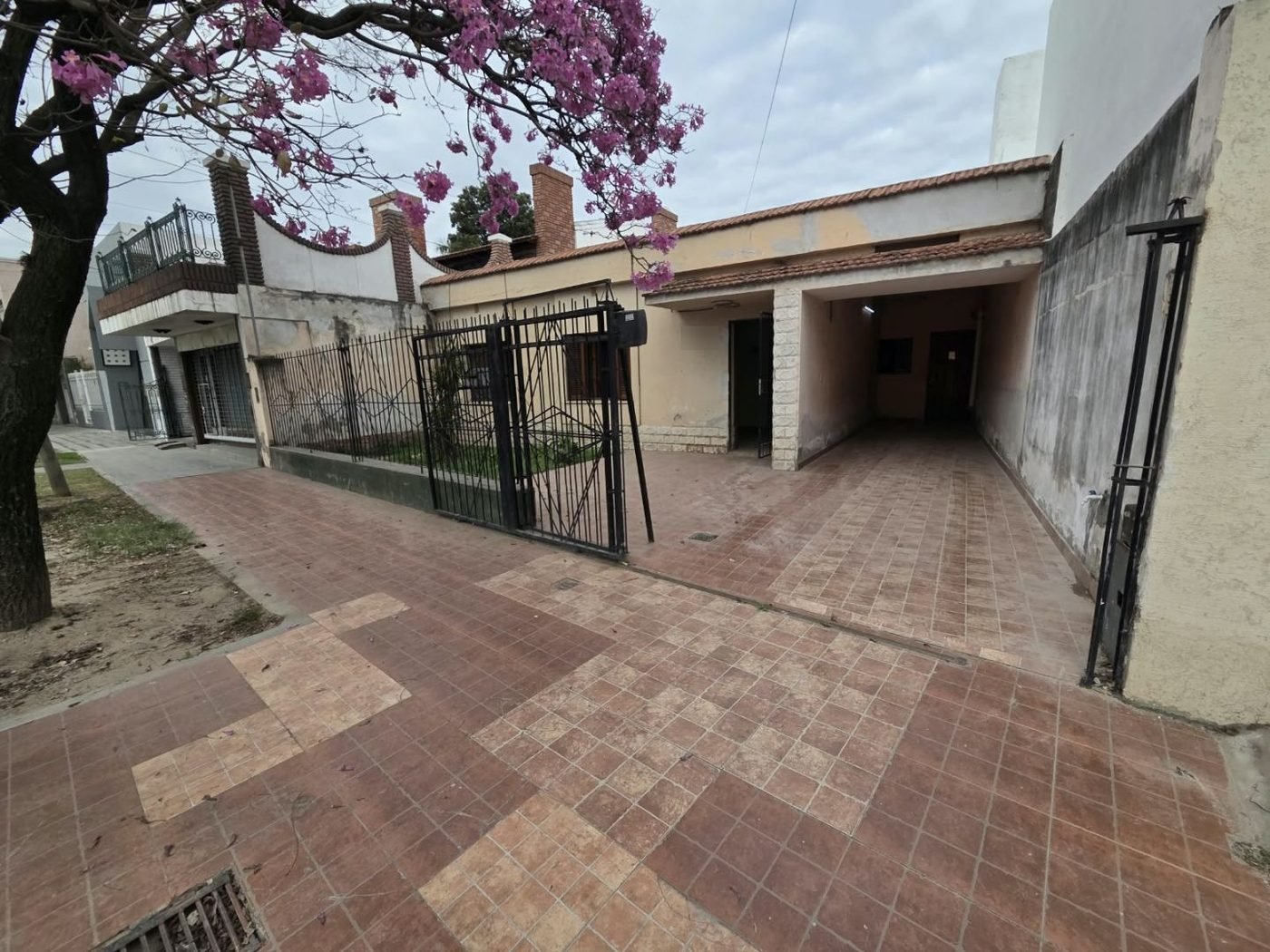 Frente de la casa sobre Av. Moreno Sur, con reja, lapacho en flor y entrada a la cochera