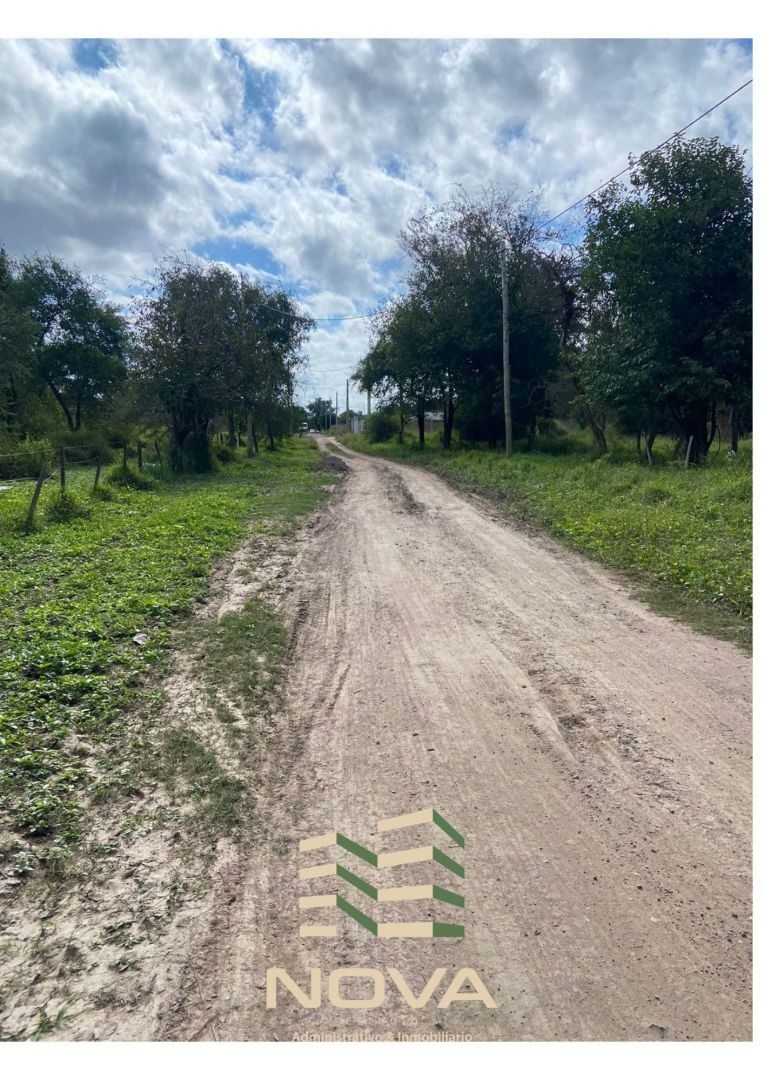Calle de acceso al lote, con árboles a los costados