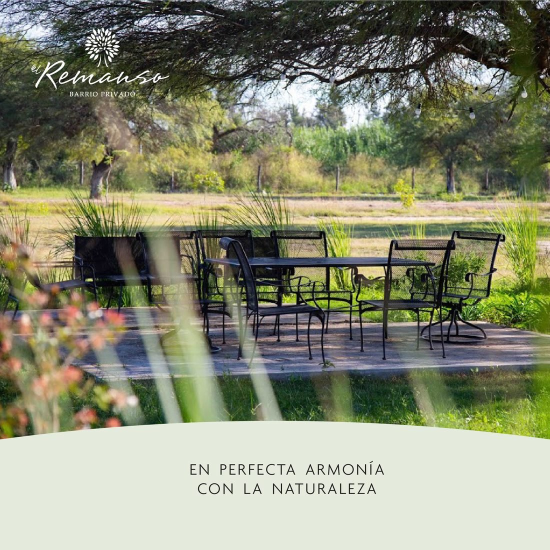 Galería exterior arbolada con mesa de comedor al aire libre